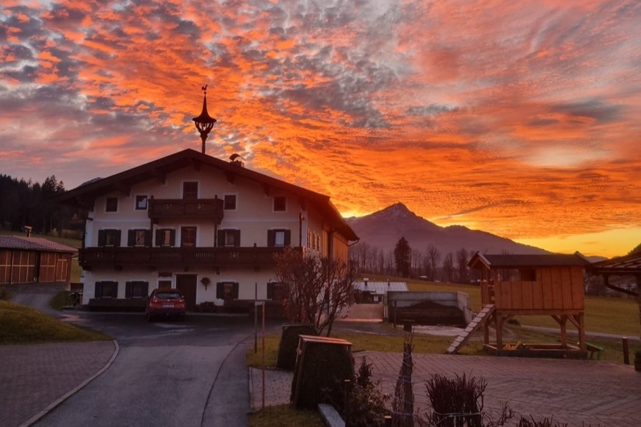 33dd5c61-dc8e-465b-b2ec-9113ca33e9a9 10 11zon