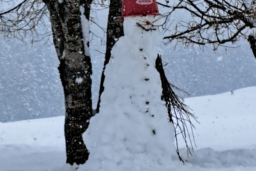 Schneeman